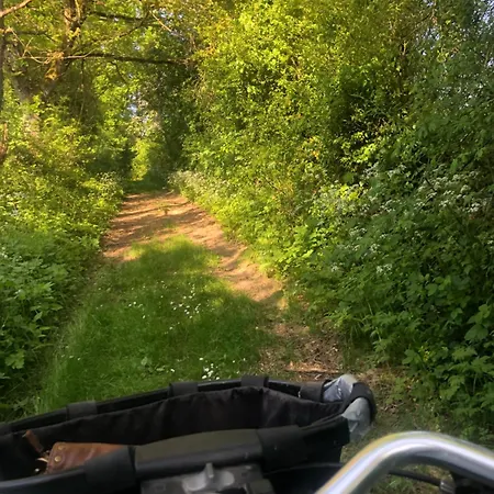 Apartman Belle Perche Dans La Nature *