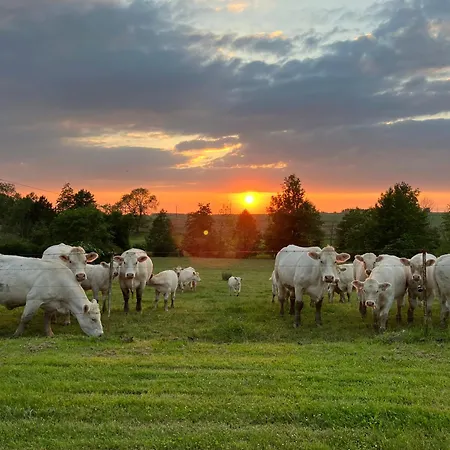 Belle Perche Dans La Nature Apartman