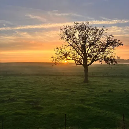 Belle Perche Dans La Nature *